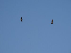 493124368 659294113751200 1263009548038472108 n