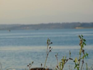 495031027 659293797084565 6205272267733568795 n