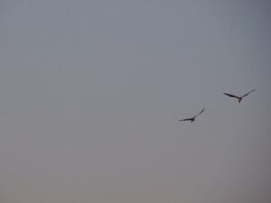 499713362 659293753751236 712236208868379991 n