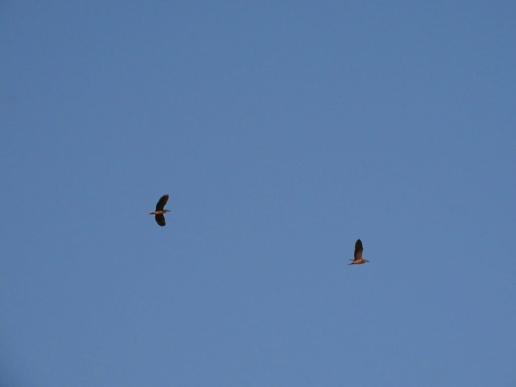 503719771 659294053751206 1543933154421536350 n