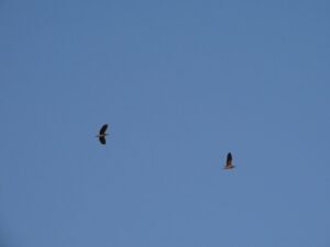 503719771 659294053751206 1543933154421536350 n