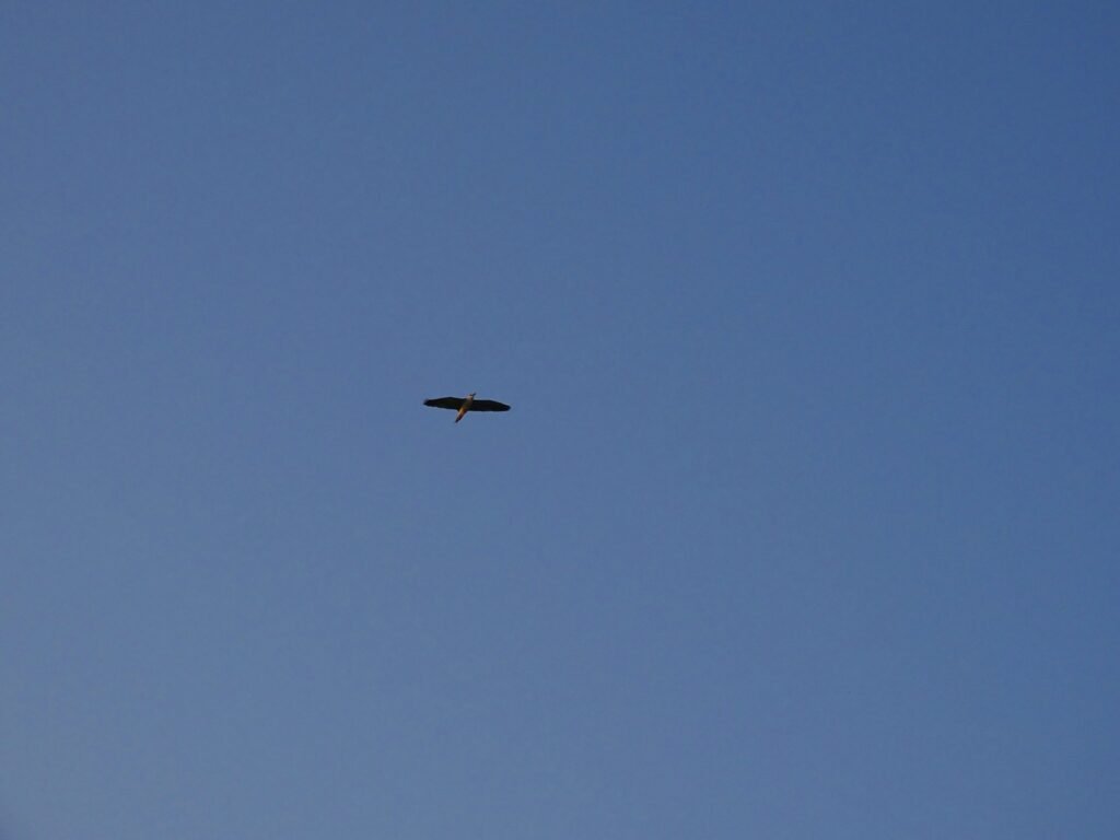 504429254 659293737084571 8595531728140354361 n