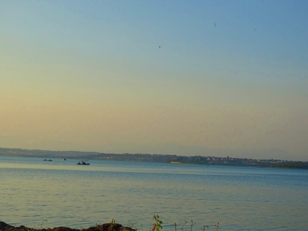 504432014 659293893751222 693252215571354586 n