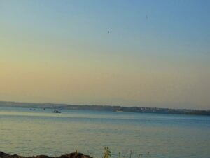 504432014 659293893751222 693252215571354586 n