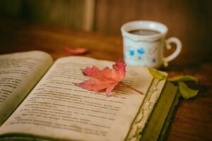 أدب leaves, coffee, cup, still life, book, reading, nature, leisure, coffee cup, hobby, read, open book, bookworm