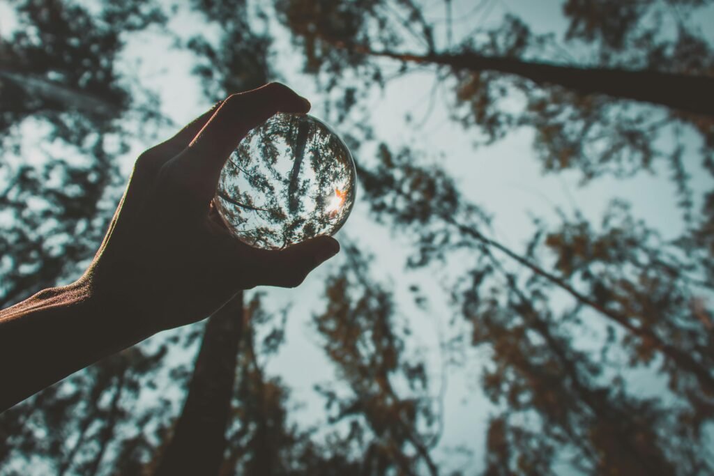 نيتشه: الحقيقة والوهم A hand holding a crystal ball reflecting trees in a serene forest setting.